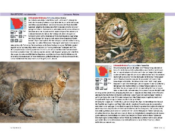 Safari-Reiseführer Südliches Afrika