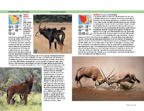Safari-Reiseführer Südliches Afrika