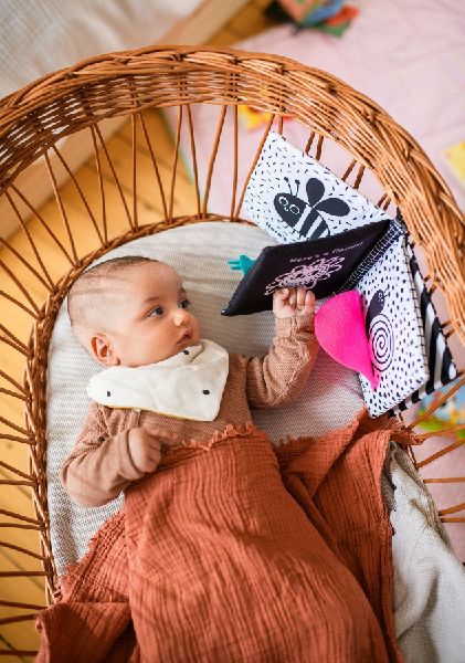 Babys kuschelweiches Kontrastbuch (Stoffbuch)