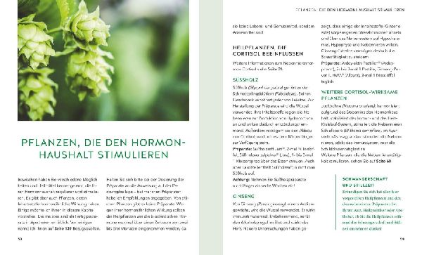 Hormone natürlich regulieren