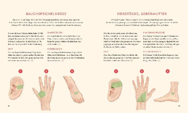 Hormone natürlich regulieren