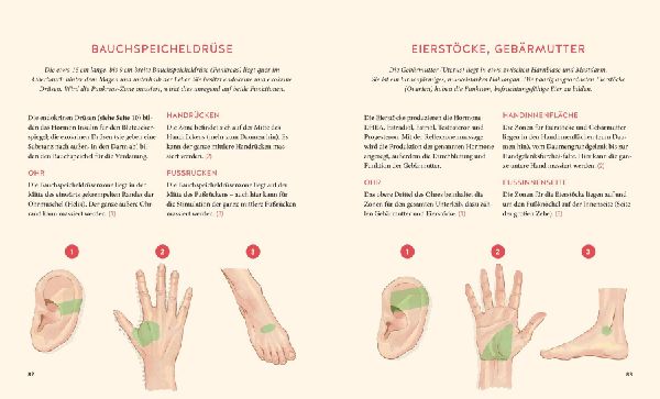 Hormone natürlich regulieren