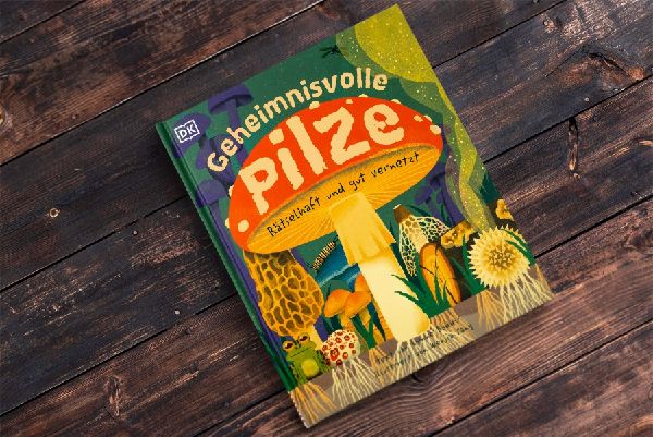 Geheimnisvolle Pilze