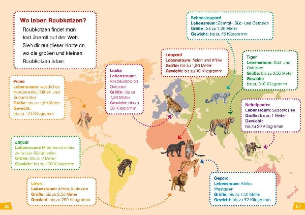 WAS IST WAS Erstes Lesen Band 17. Raubkatzen
