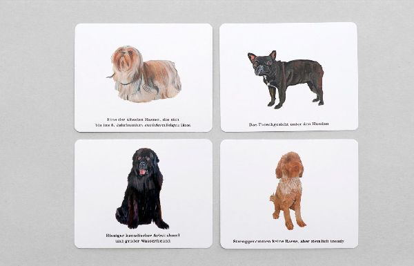 Wer kennt alle Hunde?