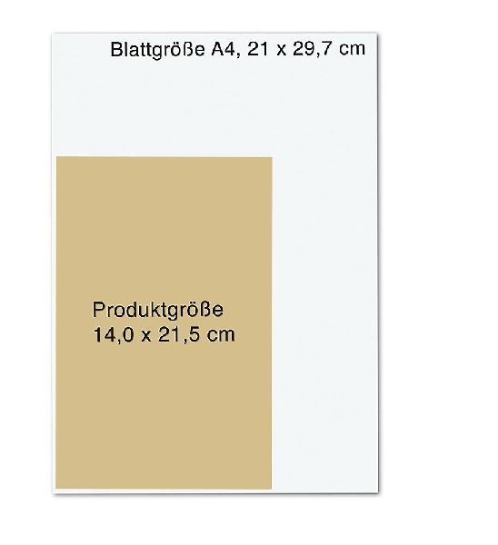 Das erschütterte Ich