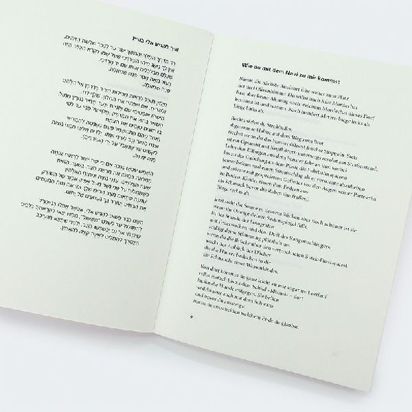 Gedicht für den unvollkommenen Menschen