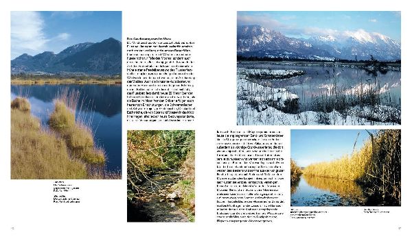 Kultivierte Wildnis