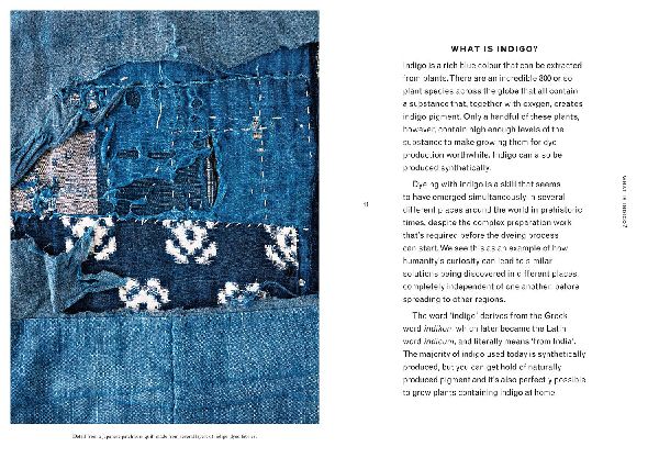 INDIGO PB
