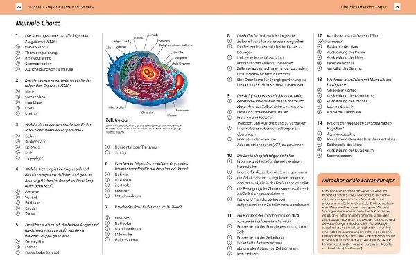 Arbeitsbuch Anatomie Komplett