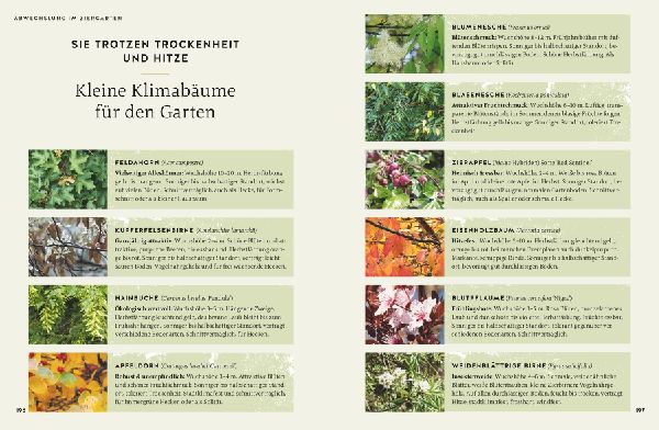 So wird der Garten fit fürs Klima