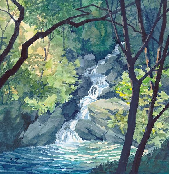 Wasser zum Leben