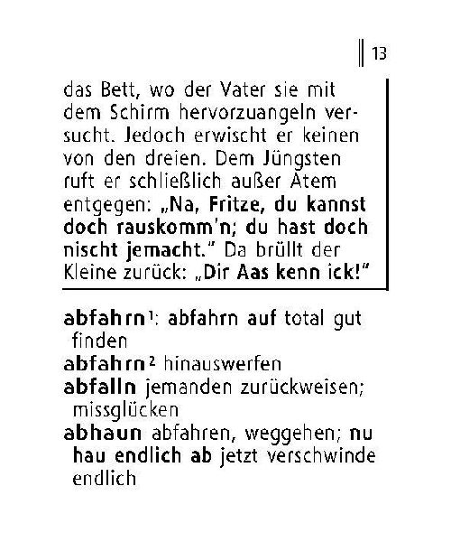 Langenscheidt Lilliput Berlinerisch