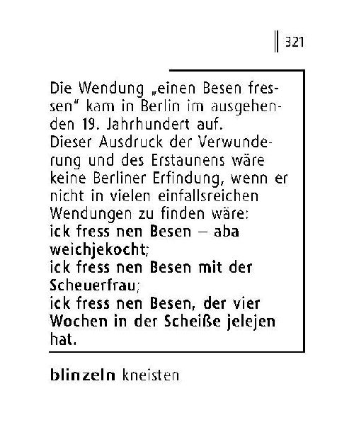 Langenscheidt Lilliput Berlinerisch