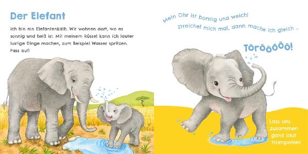 Hör mal, wie ich tröten kann (Mein erstes Streichel-Soundbuch 4)