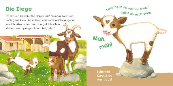 Hör mal, wie ich tröten kann (Mein erstes Streichel-Soundbuch 4)