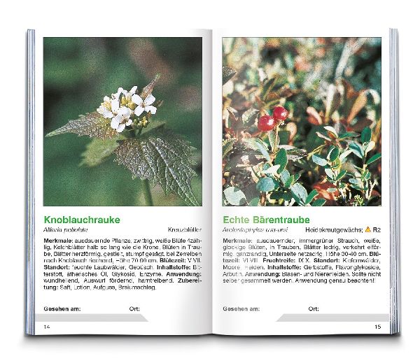 KOMPASS Naturführer Heilpflanzen, der handliche Begleiter in die Natur