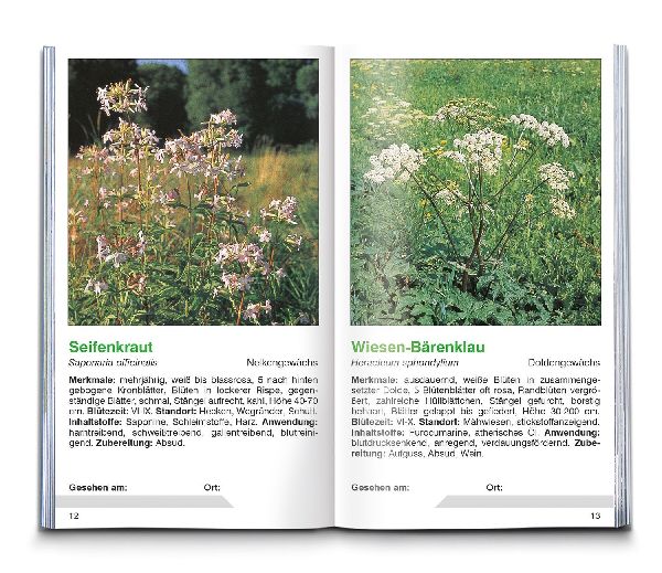 KOMPASS Naturführer Heilpflanzen, der handliche Begleiter in die Natur