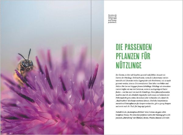 MDR Garten - Richtig gärtnern für Nützlinge