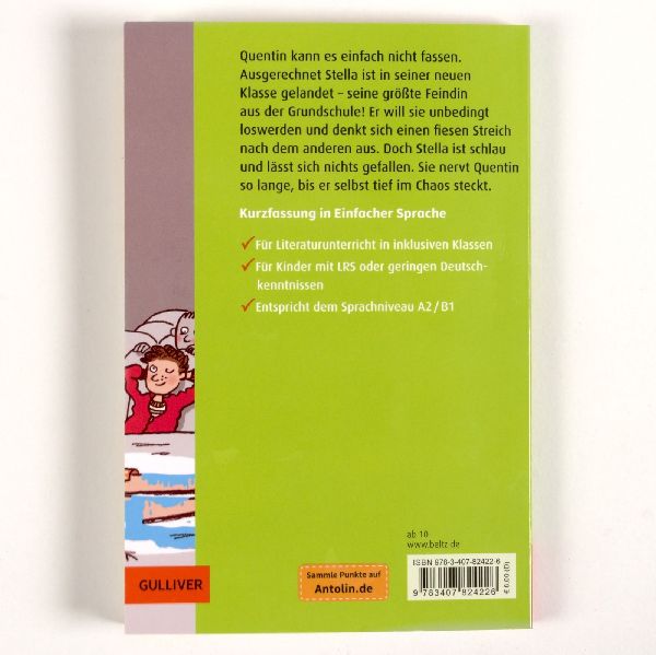 Kurzfassung in Einfacher Sprache. Master of Disaster