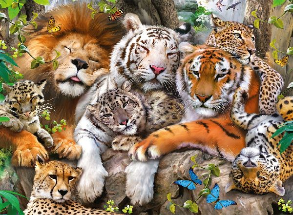 Schmusende Raubkatzen Puzzle 200 Teile