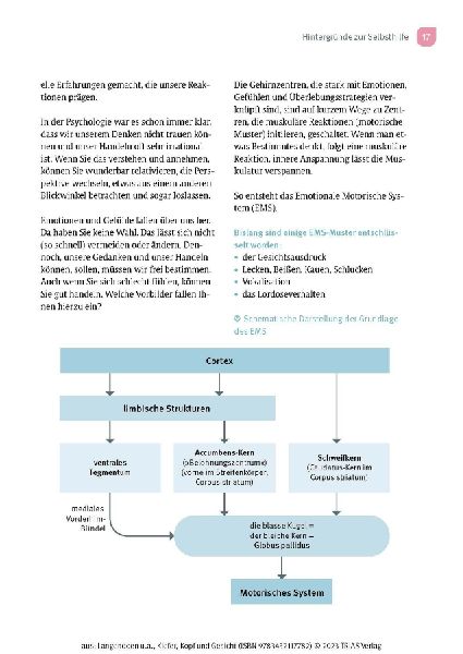 Kiefer, Kopf und Gesicht