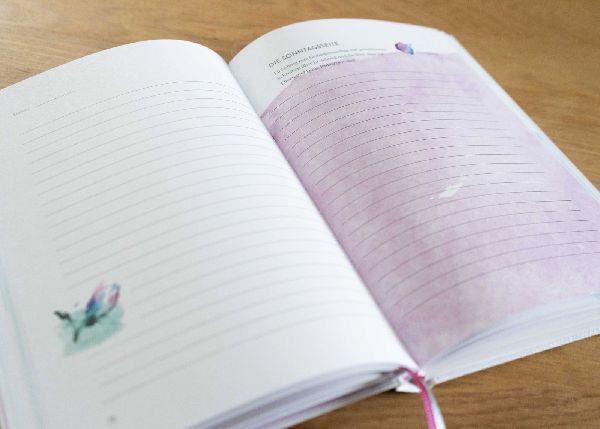 Es wird Zeit - Das Tagebuch zum Klagen, Lachen, Klügerwerden