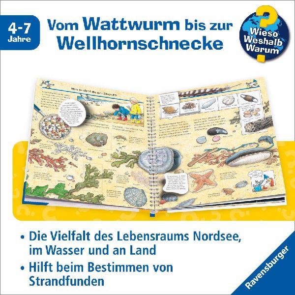 Wieso? Weshalb? Warum?, Band 17: Komm mit ans Meer