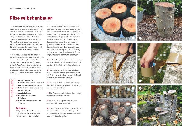 Garten-Projekte für Selbermacher