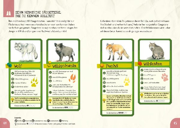 Das Outdoor-Entdeckerhandbuch