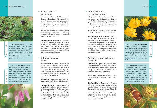 Homöopathie - Das große Handbuch