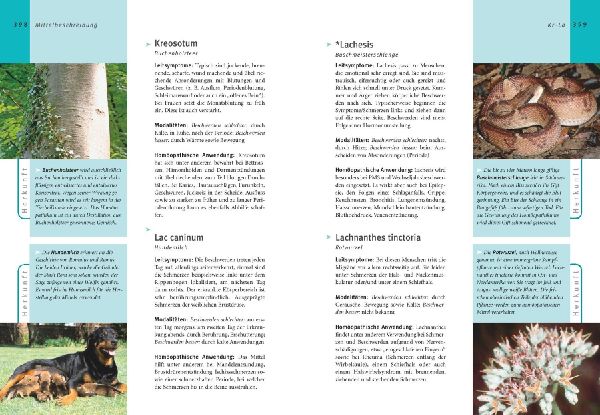 Homöopathie - Das große Handbuch