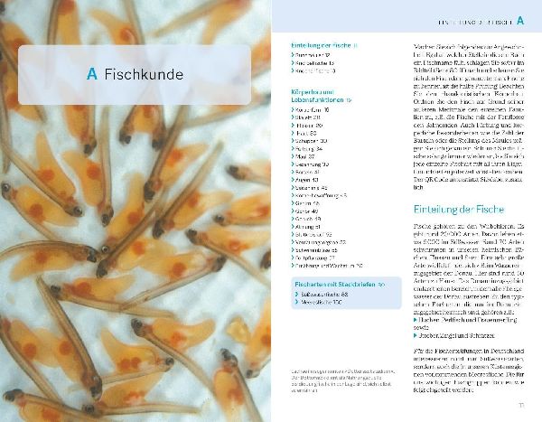 Fischerprüfung