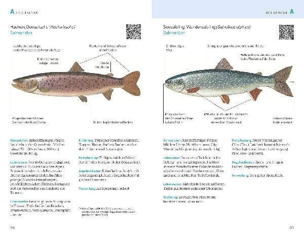 Fischerprüfung