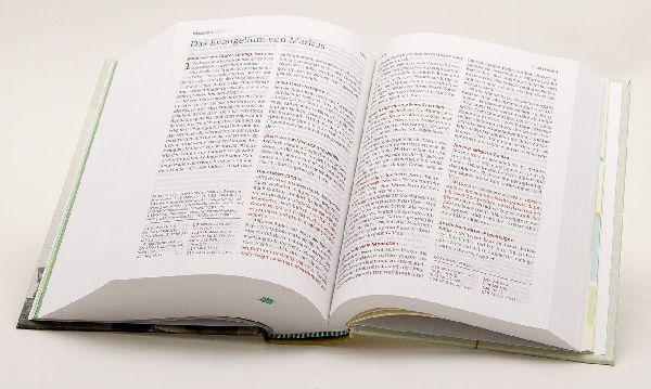 Neues Leben. Die Bibel für Teens