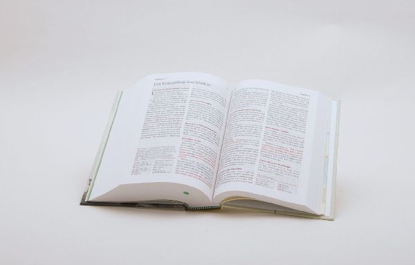 Neues Leben. Die Bibel für Teens