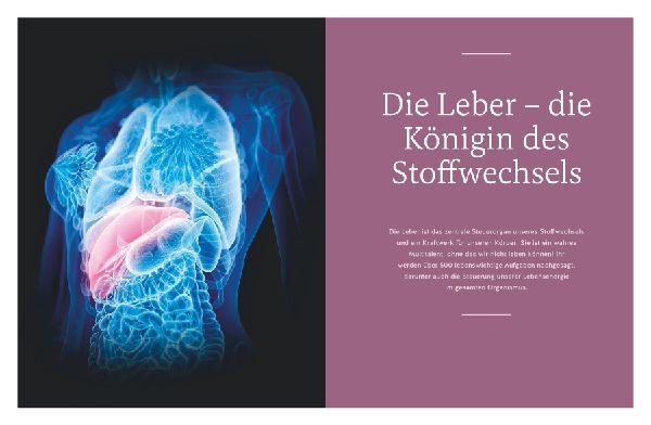 Die revolutionäre 9-Tage-Leber-Kur