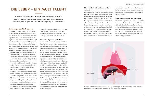 Die revolutionäre 9-Tage-Leber-Kur