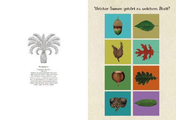 Das Museum der Pflanzen. Mein Mitmachbuch