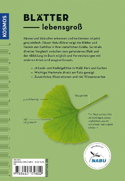 Bäume am Blatt erkennen - 78 Laub- und Nadelgehölze. Blätter in Originalgröße