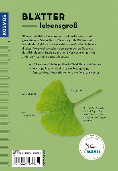 Bäume am Blatt erkennen - 78 Laub- und Nadelgehölze. Blätter in Originalgröße