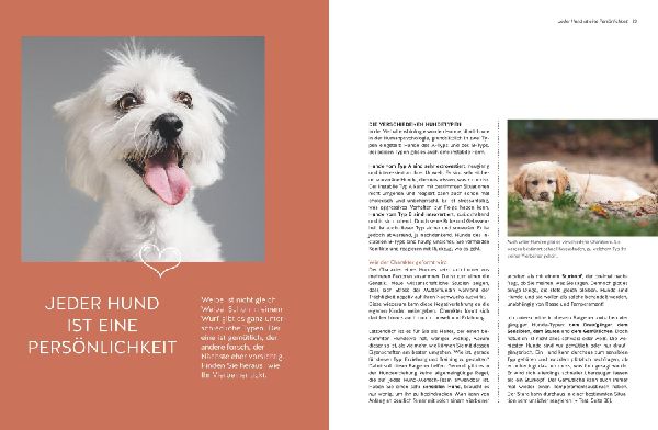 Typgerechtes Welpentraining