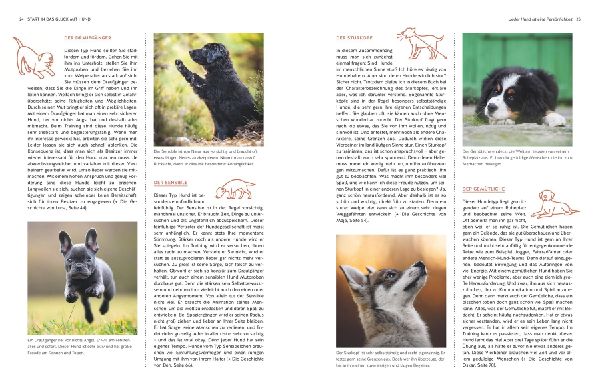 Typgerechtes Welpentraining