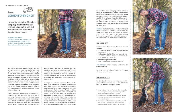 Typgerechtes Welpentraining