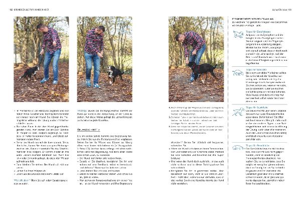 Typgerechtes Welpentraining
