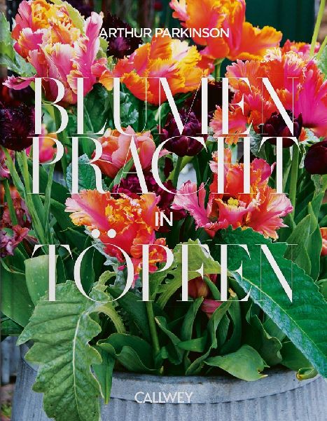 Blumenpracht in Töpfen