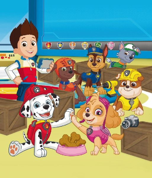 PAW Patrol Mein Taschenlampenbuch ab 4 Jahren