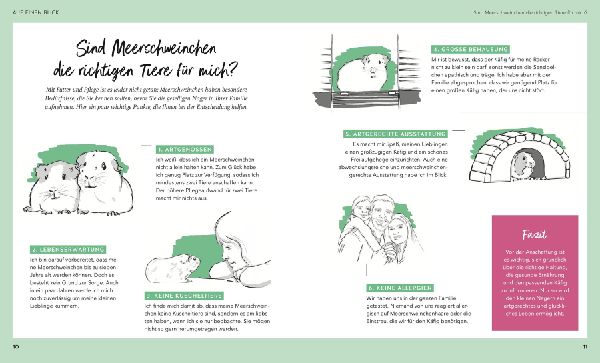 Meerschweinchen