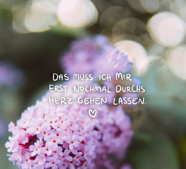 Lass dein Herz lachen - Inspirationen für einen erfüllten Alltag