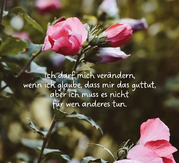 Lass dein Herz lachen - Inspirationen für einen erfüllten Alltag